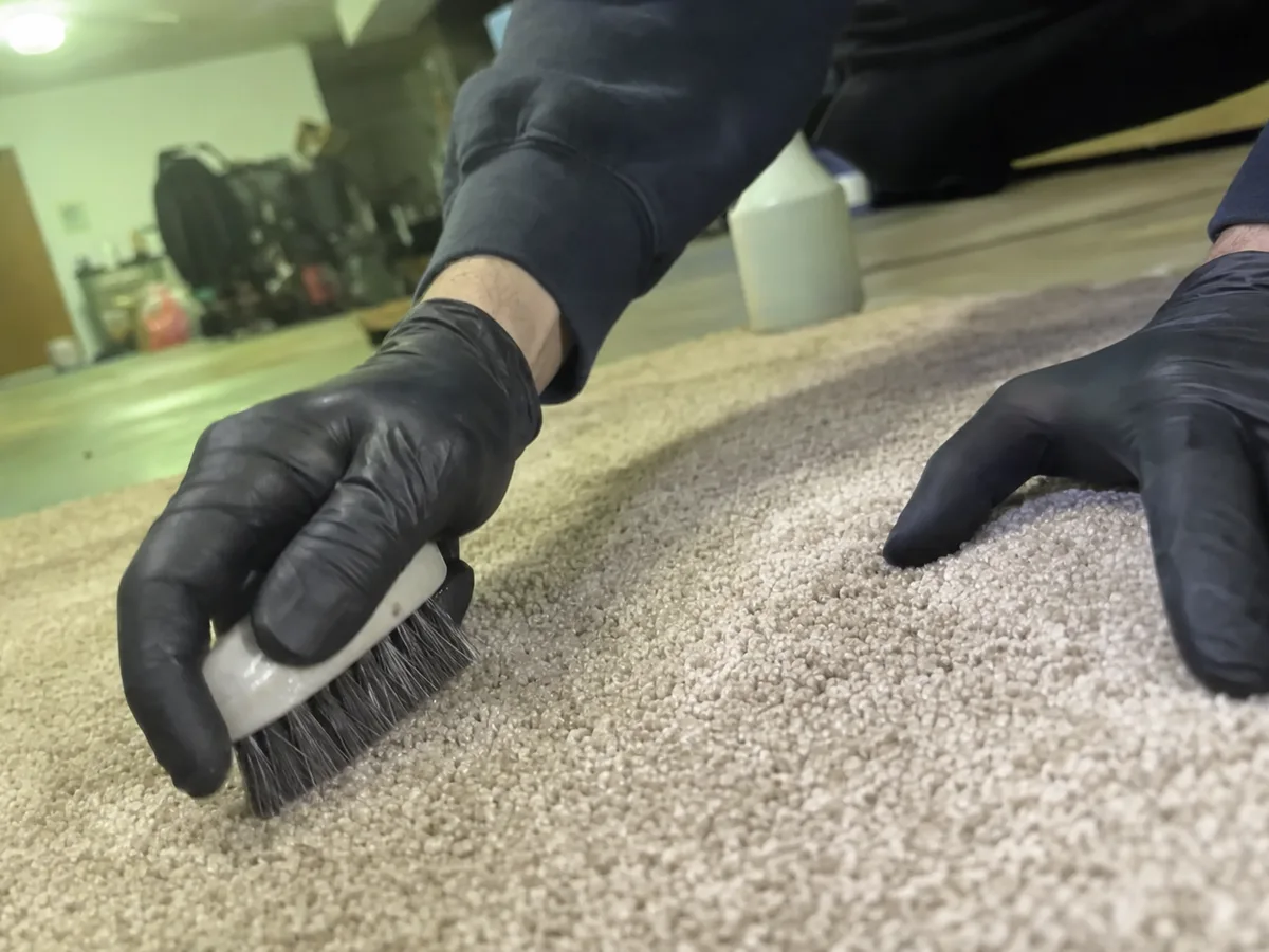 carpet cleaning technician on the job in West Hollywood, CA